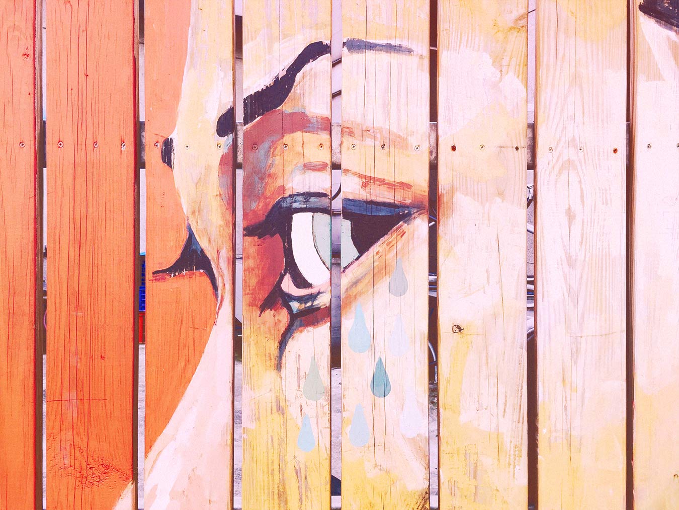 Mural Painted Against Fence